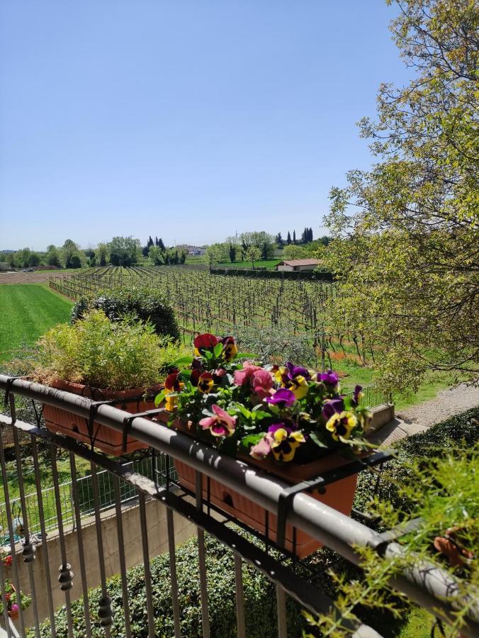 Agriturismo La Vigna Colà Eksteriør billede