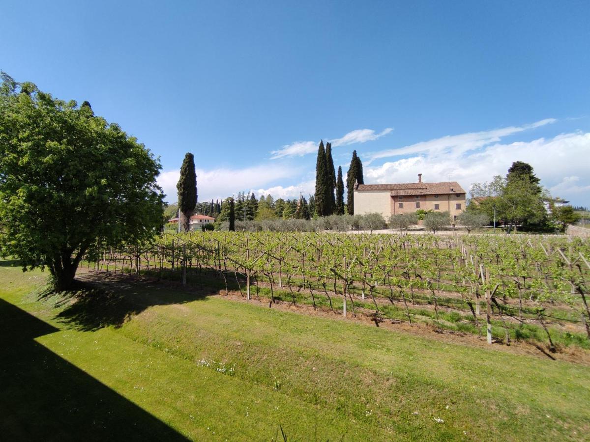 Agriturismo La Vigna Colà Eksteriør billede