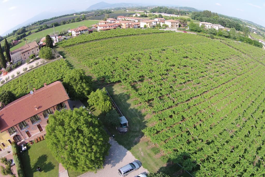 Agriturismo La Vigna Colà Eksteriør billede